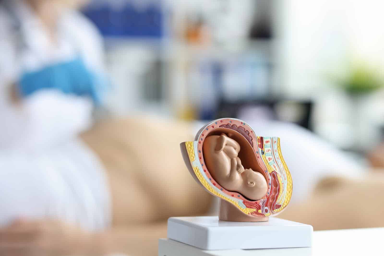 Mismanaged fetal malposition & medical negligence